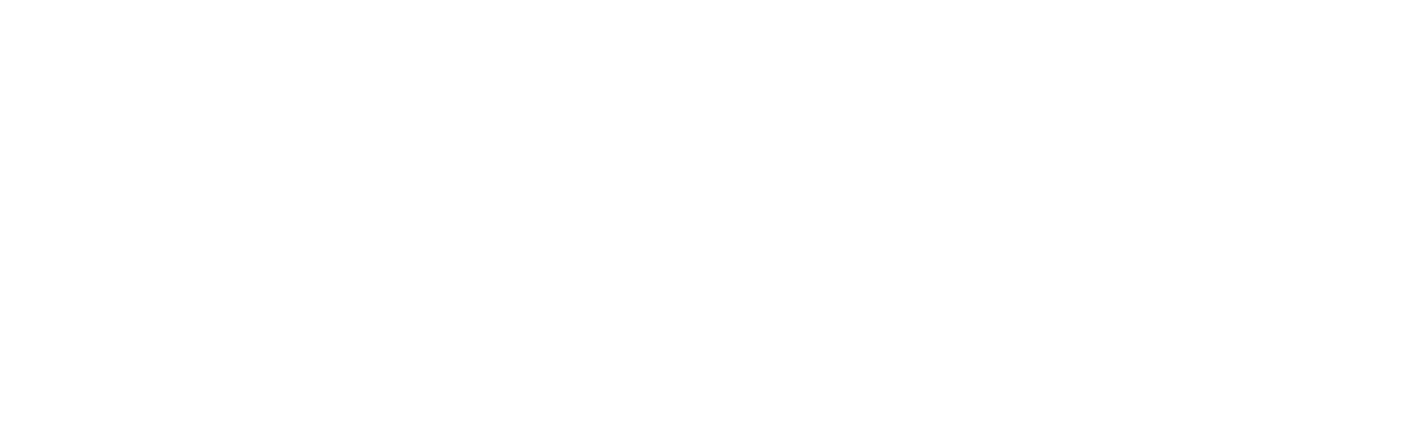 ryzmo